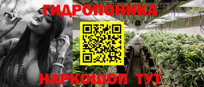 хмурый Абакан