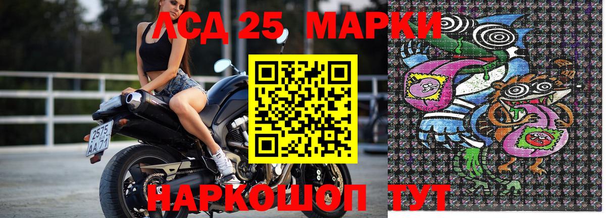 Наркотические марки 1500мкг  где купить наркоту  Анжеро-Судженск  Наркотические марки 1500мкг 