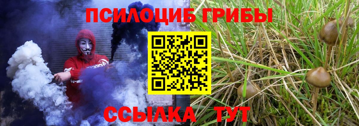 Галлюциногенные грибы Psilocybe  Вход с VPN  Анжеро-Судженск 