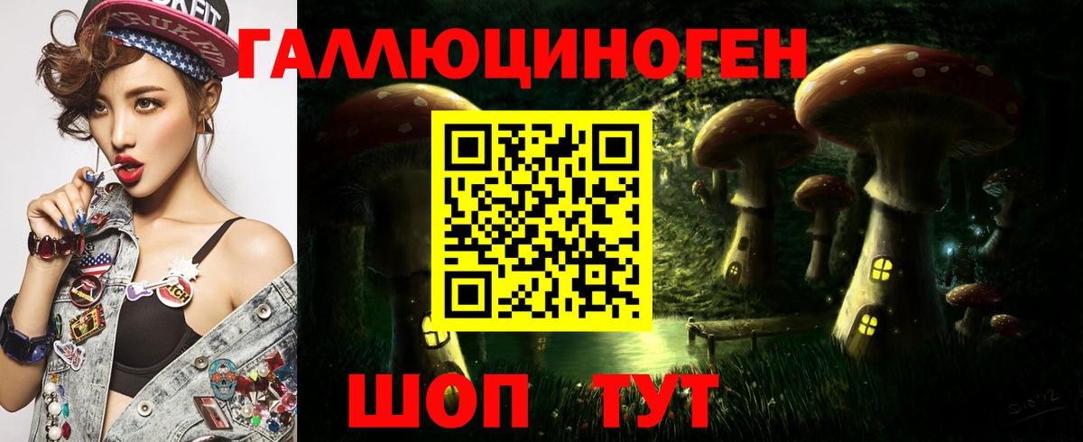 Псилоцибиновые грибы Cubensis Анжеро-Судженск