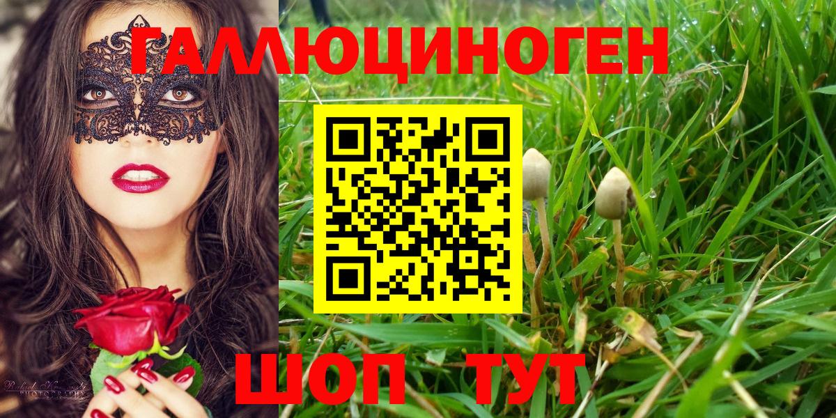 Псилоцибиновые грибы ЛСД  где купить наркотик  Анжеро-Судженск 