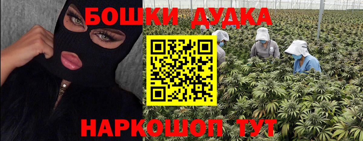 Шишки марихуана сатива Анжеро-Судженск